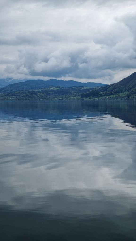 photo_5816449105898095059_y