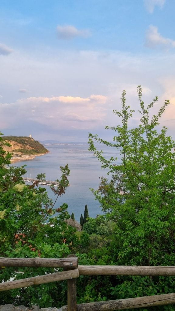 photo_5816449105898095066_y